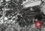 Standbild Spanish Patio Mexico City Mexiko, 1925, aus Sekunde 32 historischem Filmmaterial Videoclip 65675023038