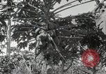Standbild Spanish Patio Mexico City Mexiko, 1925, aus Sekunde 33 historischem Filmmaterial Videoclip 65675023038