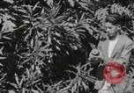 Standbild Spanish Patio Mexico City Mexiko, 1925, aus Sekunde 34 historischem Filmmaterial Videoclip 65675023038