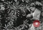 Standbild Spanish Patio Mexico City Mexiko, 1925, aus Sekunde 35 historischem Filmmaterial Videoclip 65675023038