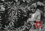 Standbild Spanish Patio Mexico City Mexiko, 1925, aus Sekunde 36 historischem Filmmaterial Videoclip 65675023038