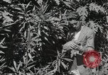 Standbild Spanish Patio Mexico City Mexiko, 1925, aus Sekunde 37 historischem Filmmaterial Videoclip 65675023038