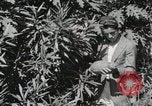 Standbild Spanish Patio Mexico City Mexiko, 1925, aus Sekunde 38 historischem Filmmaterial Videoclip 65675023038