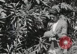 Standbild Spanish Patio Mexico City Mexiko, 1925, aus Sekunde 39 historischem Filmmaterial Videoclip 65675023038