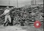 Image of Santa Monica LACRA lumber yard Santa Monica California USA, 1935, second 40 stock footage video 65675023043