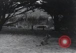 Image of Georges Clemenceau France, 1920, second 36 stock footage video 65675023051