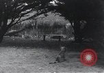 Image of Georges Clemenceau France, 1920, second 37 stock footage video 65675023051