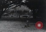 Image of Georges Clemenceau France, 1920, second 39 stock footage video 65675023051