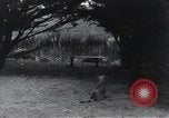 Image of Georges Clemenceau France, 1920, second 40 stock footage video 65675023051