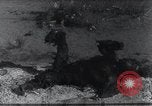 Standbild AEF Strafexpedition Mexiko, 1916, aus Sekunde 21 historischem Filmmaterial Videoclip 65675023058