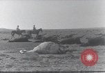 Standbild AEF Strafexpedition Mexiko, 1916, aus Sekunde 28 historischem Filmmaterial Videoclip 65675023058