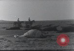 Standbild AEF Strafexpedition Mexiko, 1916, aus Sekunde 29 historischem Filmmaterial Videoclip 65675023058