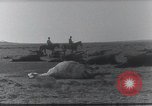 Standbild AEF Strafexpedition Mexiko, 1916, aus Sekunde 30 historischem Filmmaterial Videoclip 65675023058