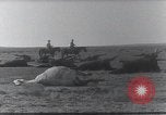 Standbild AEF Strafexpedition Mexiko, 1916, aus Sekunde 31 historischem Filmmaterial Videoclip 65675023058