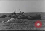 Standbild AEF Strafexpedition Mexiko, 1916, aus Sekunde 32 historischem Filmmaterial Videoclip 65675023058
