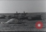 Standbild AEF Strafexpedition Mexiko, 1916, aus Sekunde 33 historischem Filmmaterial Videoclip 65675023058
