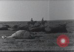 Standbild AEF Strafexpedition Mexiko, 1916, aus Sekunde 34 historischem Filmmaterial Videoclip 65675023058