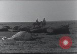 Standbild AEF Strafexpedition Mexiko, 1916, aus Sekunde 35 historischem Filmmaterial Videoclip 65675023058