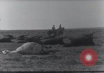 Standbild AEF Strafexpedition Mexiko, 1916, aus Sekunde 36 historischem Filmmaterial Videoclip 65675023058