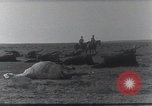 Standbild AEF Strafexpedition Mexiko, 1916, aus Sekunde 37 historischem Filmmaterial Videoclip 65675023058