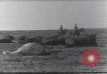 Standbild AEF Strafexpedition Mexiko, 1916, aus Sekunde 39 historischem Filmmaterial Videoclip 65675023058