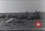 Standbild AEF Strafexpedition Mexiko, 1916, aus Sekunde 40 historischem Filmmaterial Videoclip 65675023058