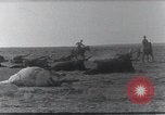 Standbild AEF Strafexpedition Mexiko, 1916, aus Sekunde 42 historischem Filmmaterial Videoclip 65675023058