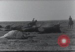 Standbild AEF Strafexpedition Mexiko, 1916, aus Sekunde 43 historischem Filmmaterial Videoclip 65675023058