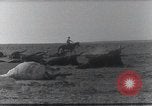 Standbild AEF Strafexpedition Mexiko, 1916, aus Sekunde 45 historischem Filmmaterial Videoclip 65675023058