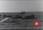 Standbild AEF Strafexpedition Mexiko, 1916, aus Sekunde 46 historischem Filmmaterial Videoclip 65675023058