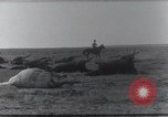 Standbild AEF Strafexpedition Mexiko, 1916, aus Sekunde 47 historischem Filmmaterial Videoclip 65675023058