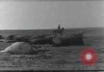 Standbild AEF Strafexpedition Mexiko, 1916, aus Sekunde 48 historischem Filmmaterial Videoclip 65675023058