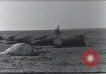 Standbild AEF Strafexpedition Mexiko, 1916, aus Sekunde 50 historischem Filmmaterial Videoclip 65675023058