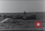 Standbild AEF Strafexpedition Mexiko, 1916, aus Sekunde 51 historischem Filmmaterial Videoclip 65675023058
