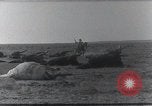 Standbild AEF Strafexpedition Mexiko, 1916, aus Sekunde 53 historischem Filmmaterial Videoclip 65675023058