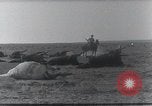 Standbild AEF Strafexpedition Mexiko, 1916, aus Sekunde 54 historischem Filmmaterial Videoclip 65675023058