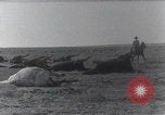 Standbild AEF Strafexpedition Mexiko, 1916, aus Sekunde 56 historischem Filmmaterial Videoclip 65675023058