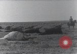 Standbild AEF Strafexpedition Mexiko, 1916, aus Sekunde 57 historischem Filmmaterial Videoclip 65675023058