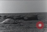Standbild AEF Strafexpedition Mexiko, 1916, aus Sekunde 60 historischem Filmmaterial Videoclip 65675023058