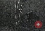 Immagine di Caccia di Pancho Villa Messico, 1916, secondo 3 filmato di repertorio 65675023067