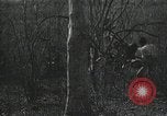 Immagine di Caccia di Pancho Villa Messico, 1916, secondo 4 filmato di repertorio 65675023067