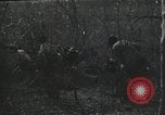 Immagine di Caccia di Pancho Villa Messico, 1916, secondo 7 filmato di repertorio 65675023067