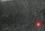 Immagine di Caccia di Pancho Villa Messico, 1916, secondo 15 filmato di repertorio 65675023067