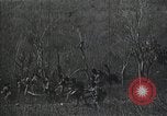 Immagine di Caccia di Pancho Villa Messico, 1916, secondo 29 filmato di repertorio 65675023067