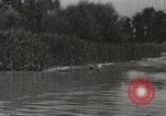 Image of Tennessee Valley Authority Tennessee United States USA, 1935, second 28 stock footage video 65675023072