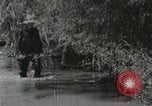 Image of Tennessee Valley Authority Tennessee United States USA, 1935, second 60 stock footage video 65675023072