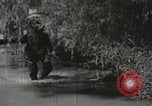 Image of Tennessee Valley Authority Tennessee United States USA, 1935, second 62 stock footage video 65675023072