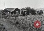 Immagine di Paesaggio di montagna Hawaii USA, 1916, secondo 50 filmato di repertorio 65675023078