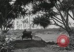 Immagine di Paesaggio di montagna Hawaii USA, 1916, secondo 54 filmato di repertorio 65675023078