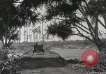 Immagine di Paesaggio di montagna Hawaii USA, 1916, secondo 55 filmato di repertorio 65675023078